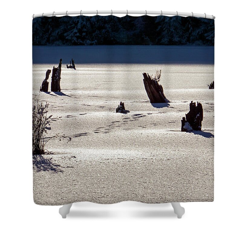 Frozen Shower Curtain featuring the photograph Frozen Lake #1 by Inge Riis McDonald