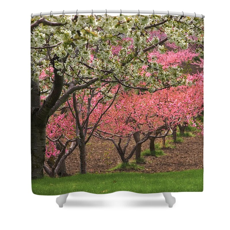 Orchard Shower Curtain featuring the photograph Fruit Orchard #1 by Douglas Pulsipher