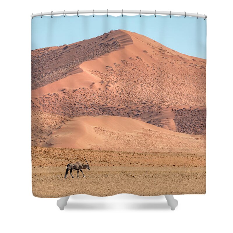 Gemsbok Shower Curtain featuring the photograph Gemsbok - Namibia #1 by Joana Kruse