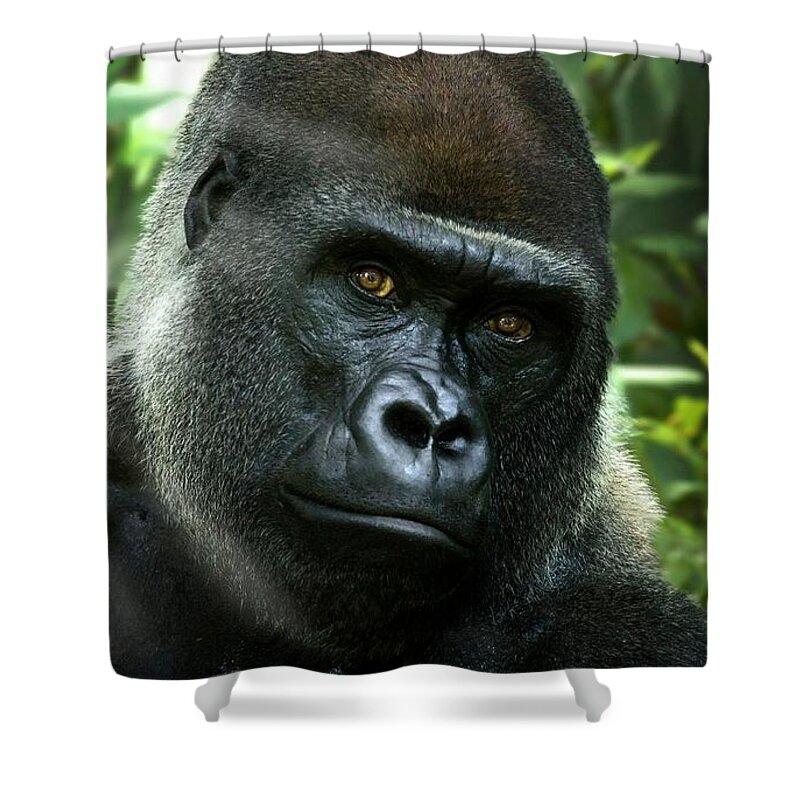 Gorilla Shower Curtain featuring the digital art Gorilla #1 by Super Lovely