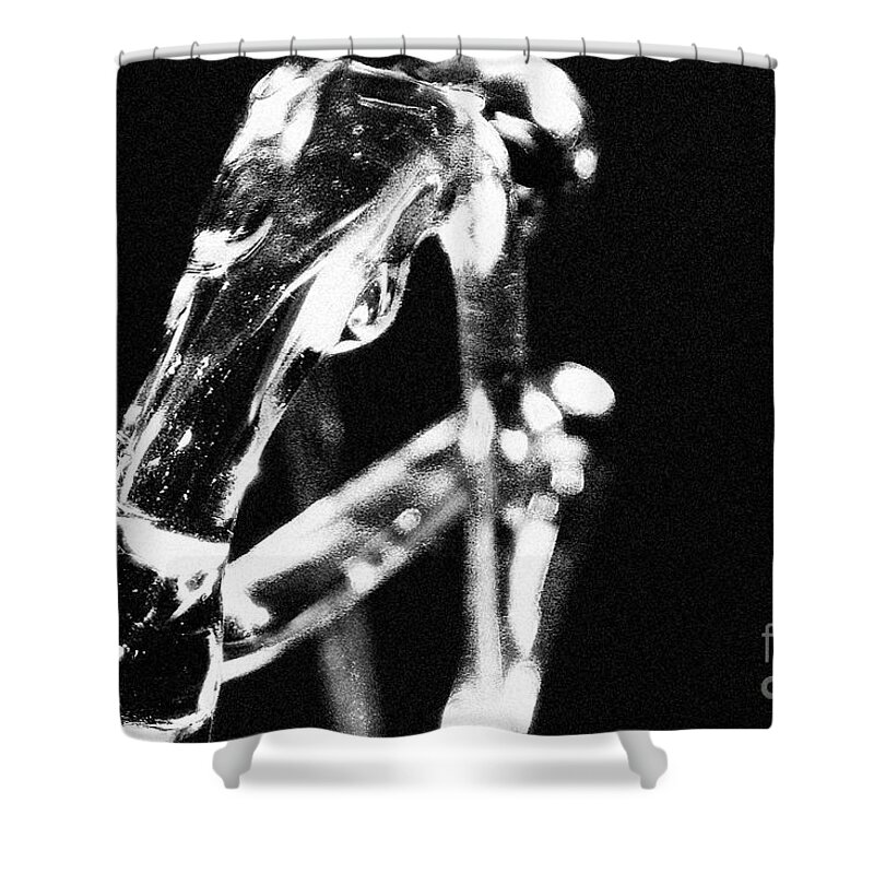 Black And White Shower Curtain featuring the photograph Grace 3 by Eileen Gayle