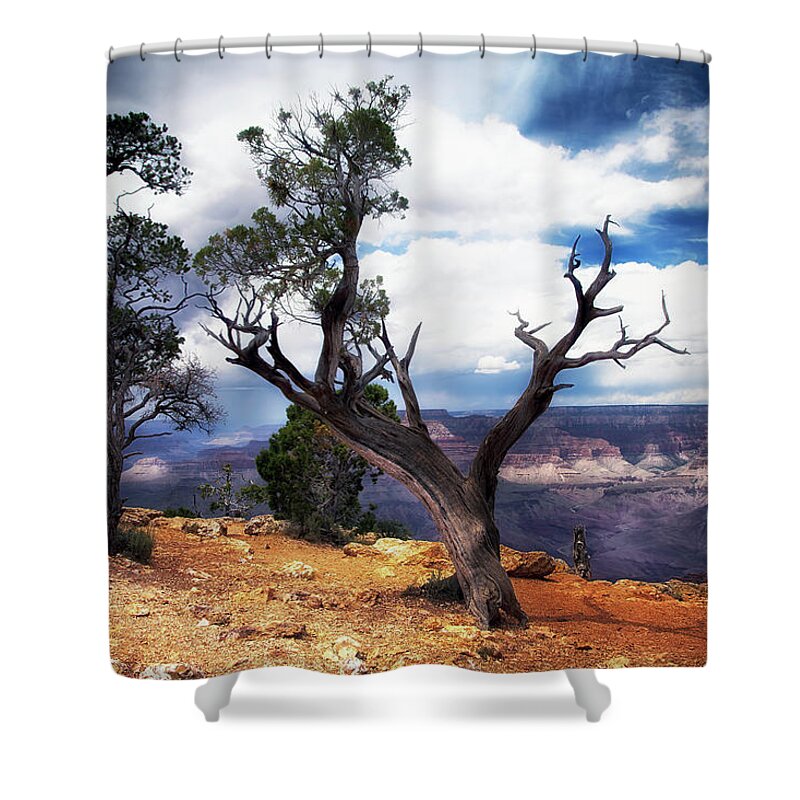 Grand Canyon Shower Curtain featuring the photograph Grand Canyon #1 by James Bethanis