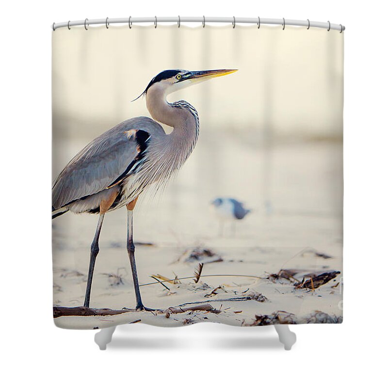Bird Shower Curtain featuring the photograph Great Blue Heron #2 by Joan McCool