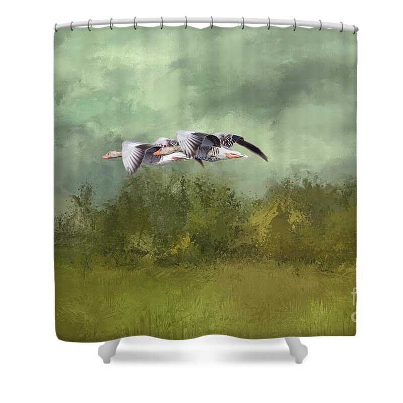 Grey Goose Shower Curtains