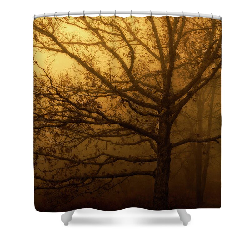 Autumn In The Smokies Shower Curtain featuring the photograph Hazy Daze #1 by Deborah Scannell