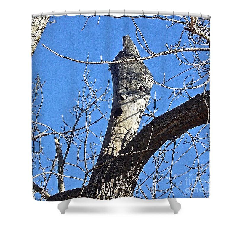 Tree Shower Curtain featuring the photograph Hello #2 by Elisabeth Derichs