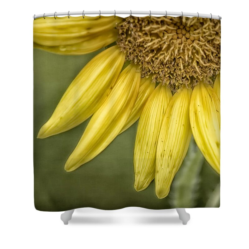 Wild Shower Curtain featuring the photograph Here Comes The Sun #2 by Louise Hill