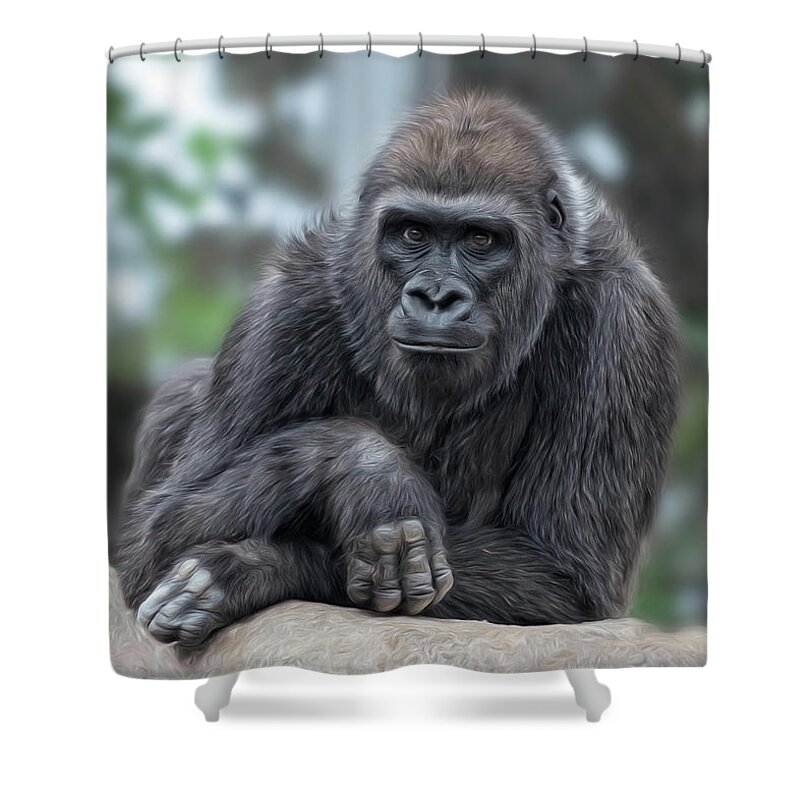 Gorilla Shower Curtain featuring the photograph Here's Looking At You #1 by Liz Mackney