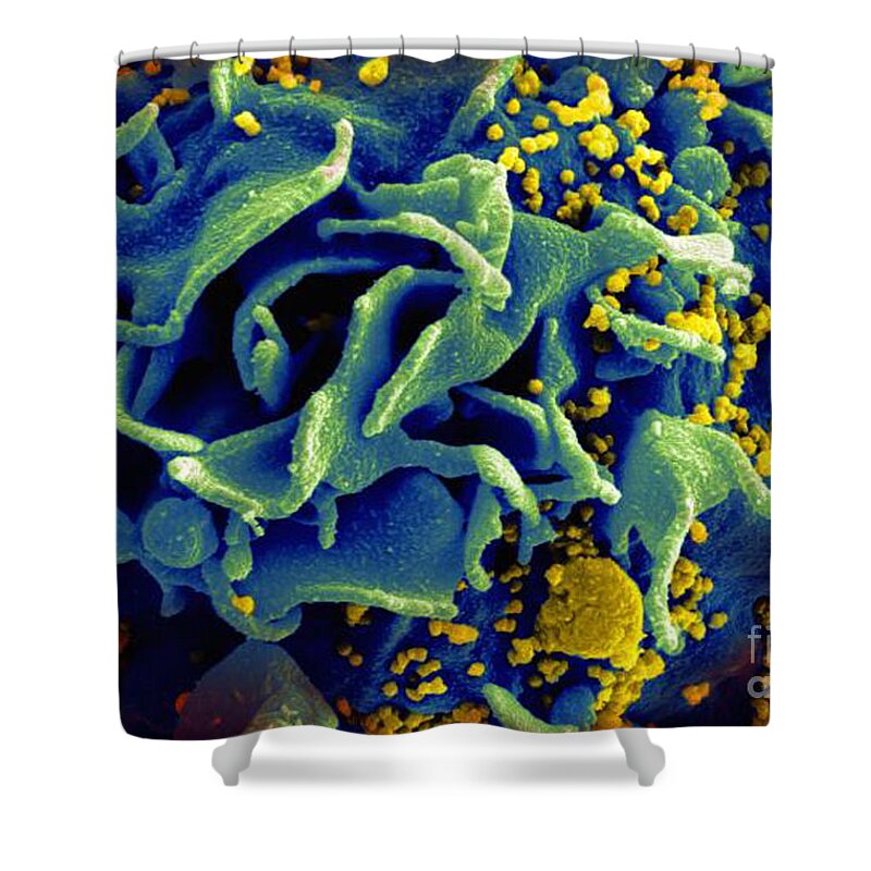Microbiology Shower Curtain featuring the photograph Hiv-infected T Cell, Sem #1 by Science Source
