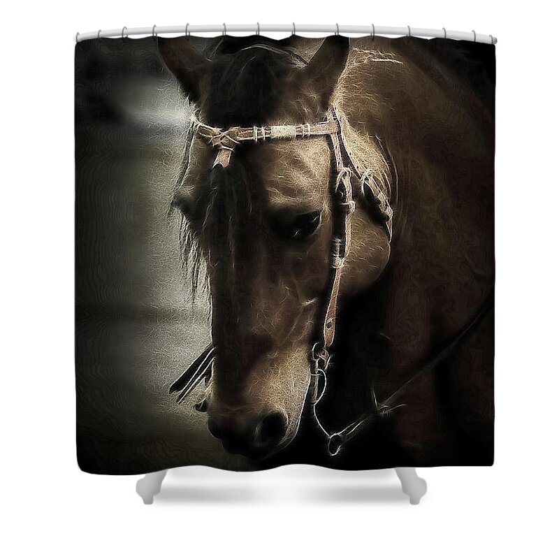Horse Shower Curtain featuring the photograph Horse Art #1 by Athena Mckinzie