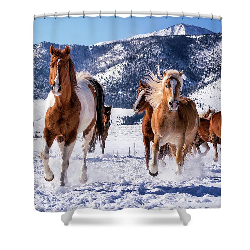 Horse Shower Curtain featuring the photograph Horses Running in Snow #1 by David Soldano