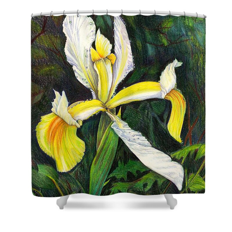 Yellow Iris Shower Curtain featuring the drawing I Rise To Thee by Nancy Cupp