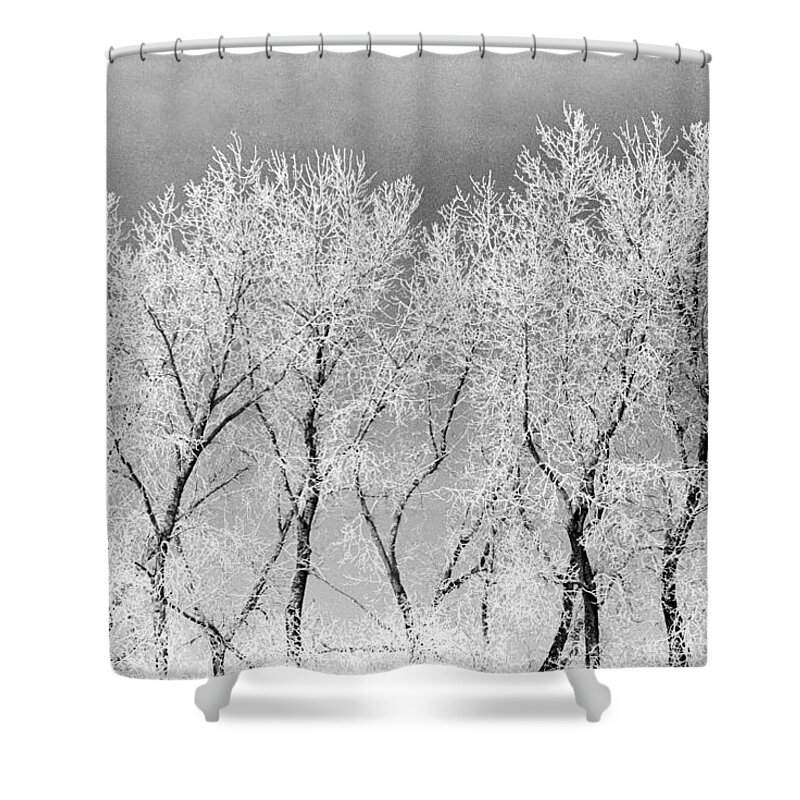Trees Ice North Dakota Shower Curtain featuring the photograph Ice Trees #1 by William Kimble