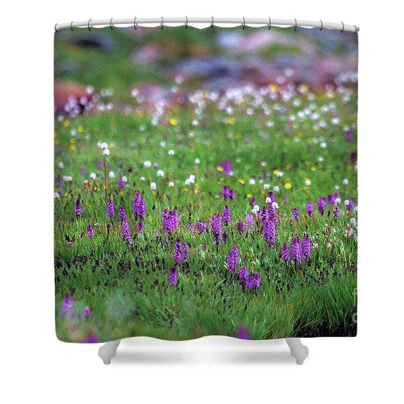 Alpine Flowers Landscape Shower Curtain featuring the photograph In the Garden #2 by Jim Garrison
