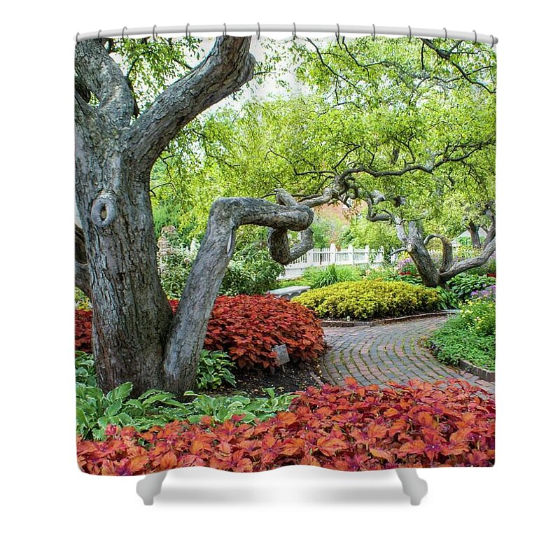 Garden Shower Curtain featuring the photograph In the Garden #1 by Lois Lepisto