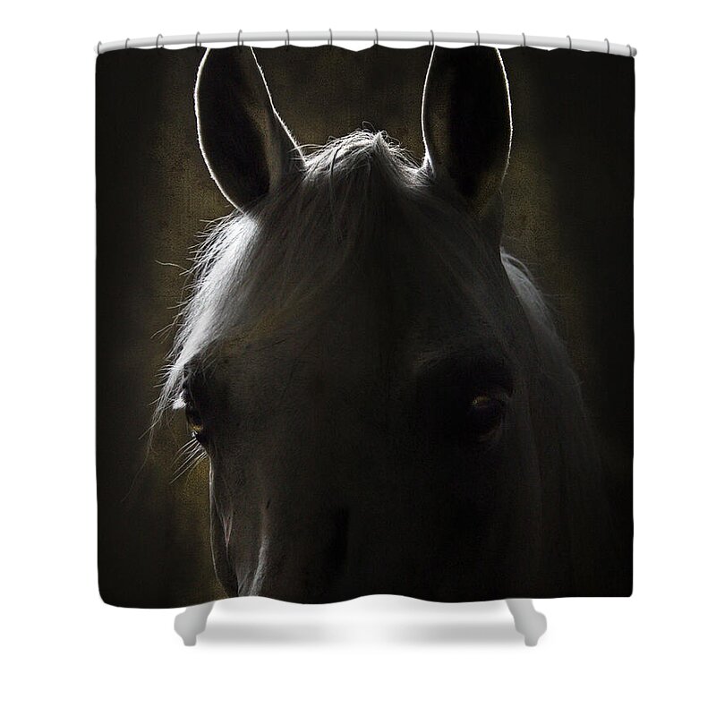 Horse Shower Curtain featuring the photograph In The Stable #1 by Ang El