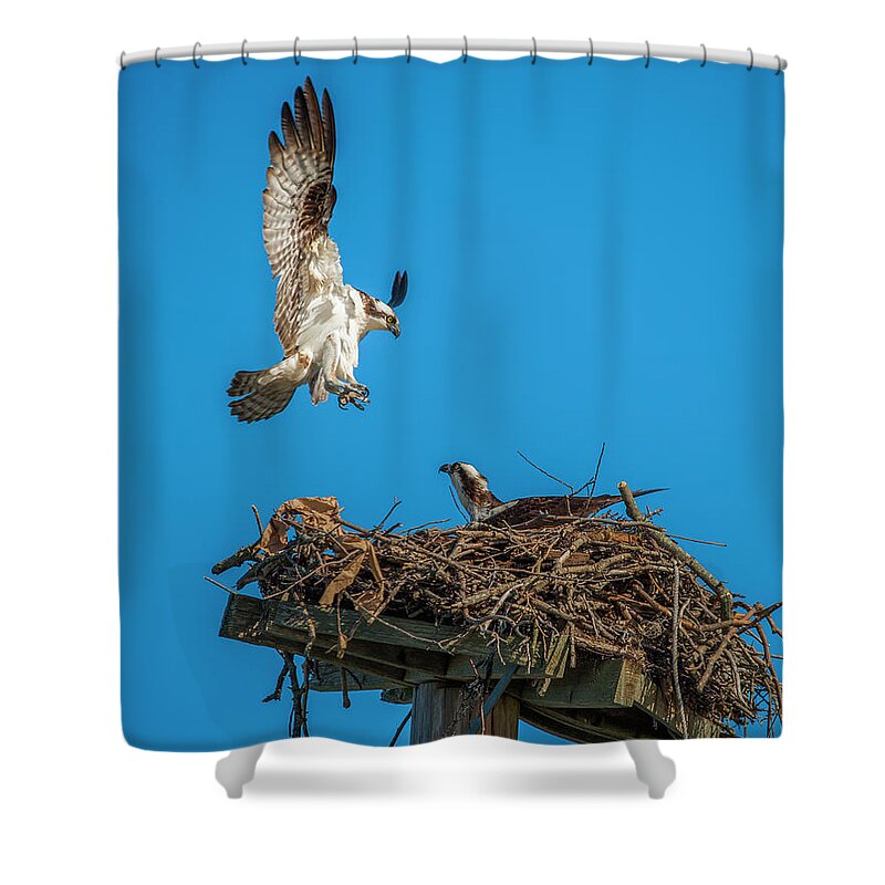 Raptor Shower Curtain featuring the photograph Incoming #1 by Cathy Kovarik