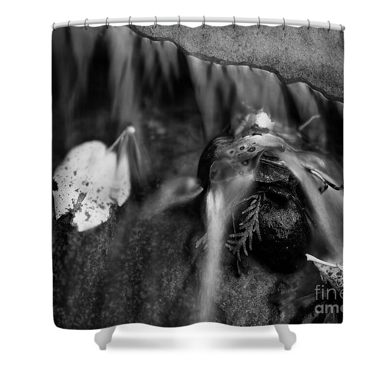 Black And White Shower Curtain featuring the photograph Into the Stream 4 #1 by Jimmy Ostgard