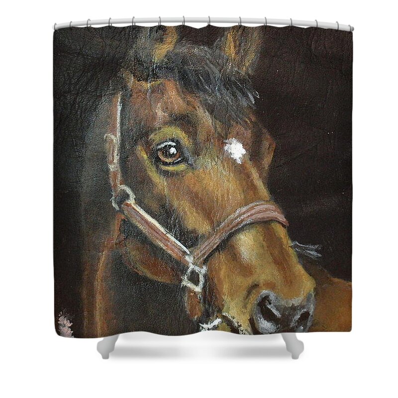 Quarter Horse Shower Curtain featuring the painting Jake #1 by Carol Russell