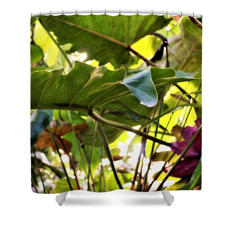 Jungle Shower Curtain featuring the photograph Jungle Jive #1 by Mindy Newman