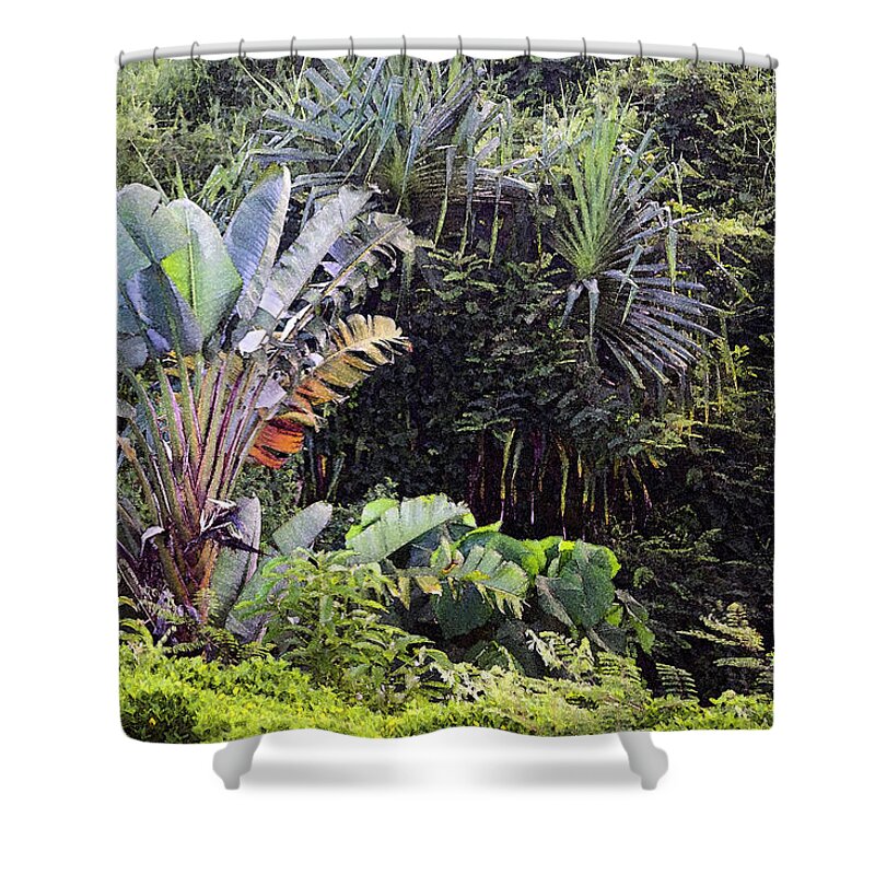 Kauai Jungle Shower Curtain featuring the photograph Kauai Jungle #1 by Frank Wilson