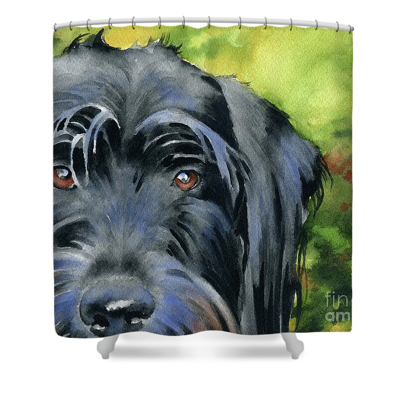 Labradoodle Shower Curtain featuring the painting Labradoodle by David Rogers