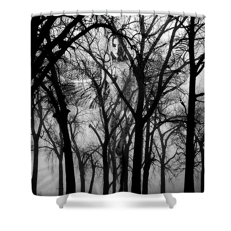 Fairy Shower Curtain featuring the photograph Leta #1 by Ken Walker