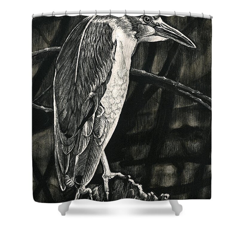 Bird Shower Curtain featuring the drawing Lettuce Lake by William Underwood