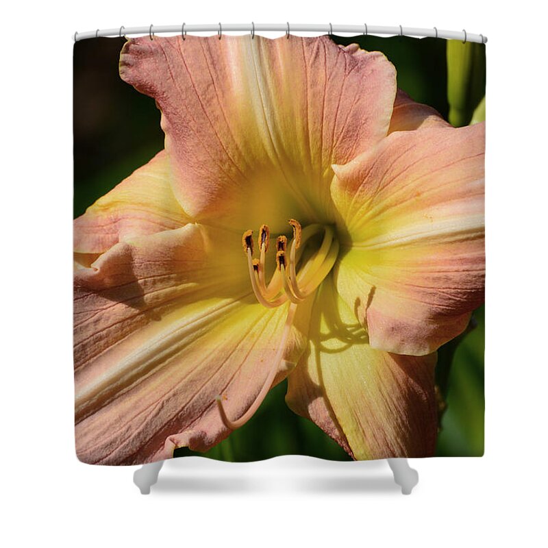 Flower Shower Curtain featuring the digital art Lily Close Up #1 by Lyle Crump