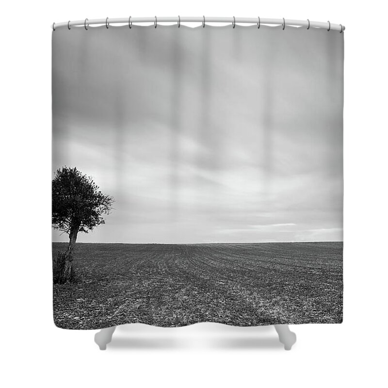 Olive Tree Shower Curtain featuring the photograph Lonely Olive tree with moving clouds #1 by Michalakis Ppalis