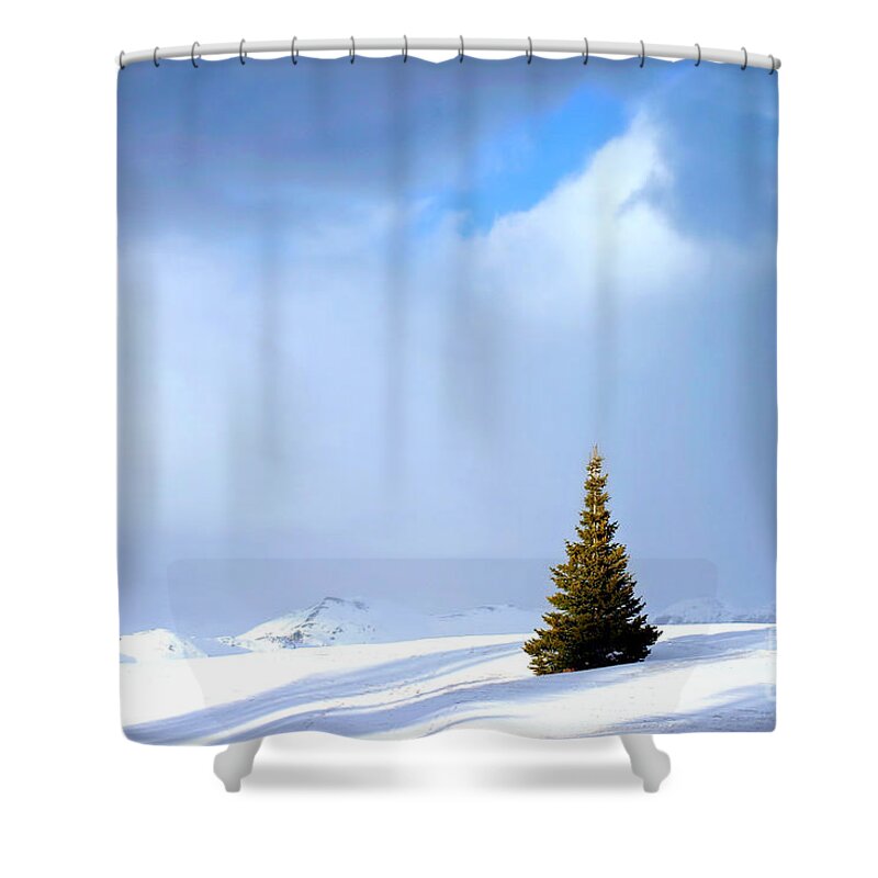Tree Shower Curtain featuring the photograph Lonesome Pine #1 by Beth Ferris Sale