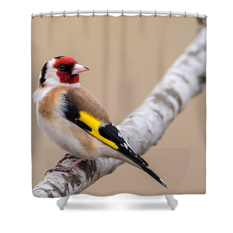 Looking Behind Shower Curtain featuring the photograph Looking behind2 by Torbjorn Swenelius