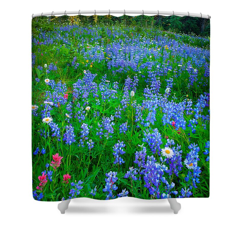 America Shower Curtain featuring the photograph Lupine Cornucopia #1 by Inge Johnsson