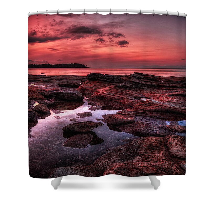 Madrona Point Shower Curtain featuring the photograph Madrona #1 by Randy Hall