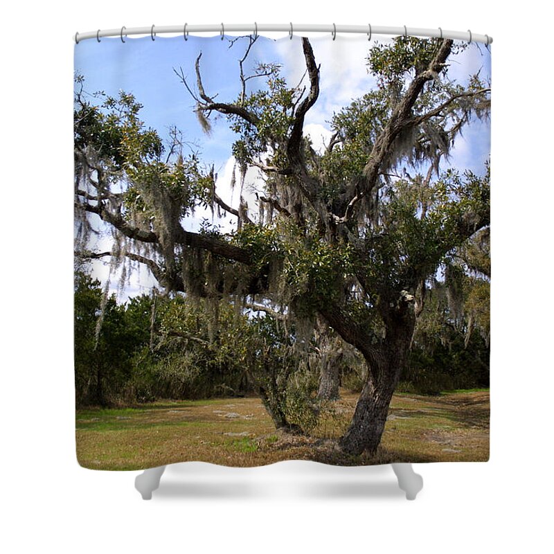 Landscape Shower Curtain featuring the photograph Majestic #1 by Jean Wolfrum