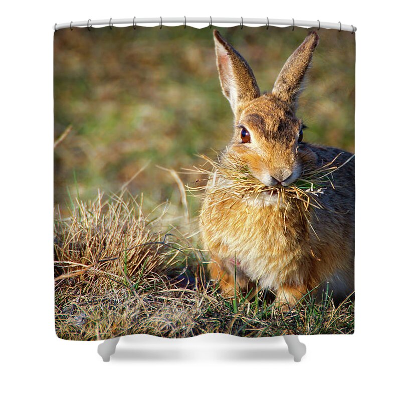 Colorado Shower Curtain featuring the photograph More Than A Mouthful #1 by John De Bord