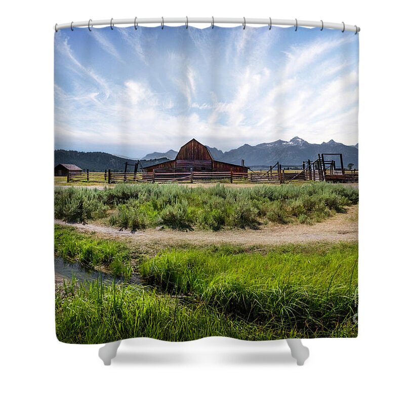 Mormon Row Morning Shower Curtain featuring the photograph Mormon Row Morning by Karen Jorstad