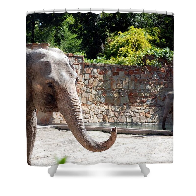 Ft. Worth Shower Curtain featuring the photograph Mother and Child #1 by Kenny Glover