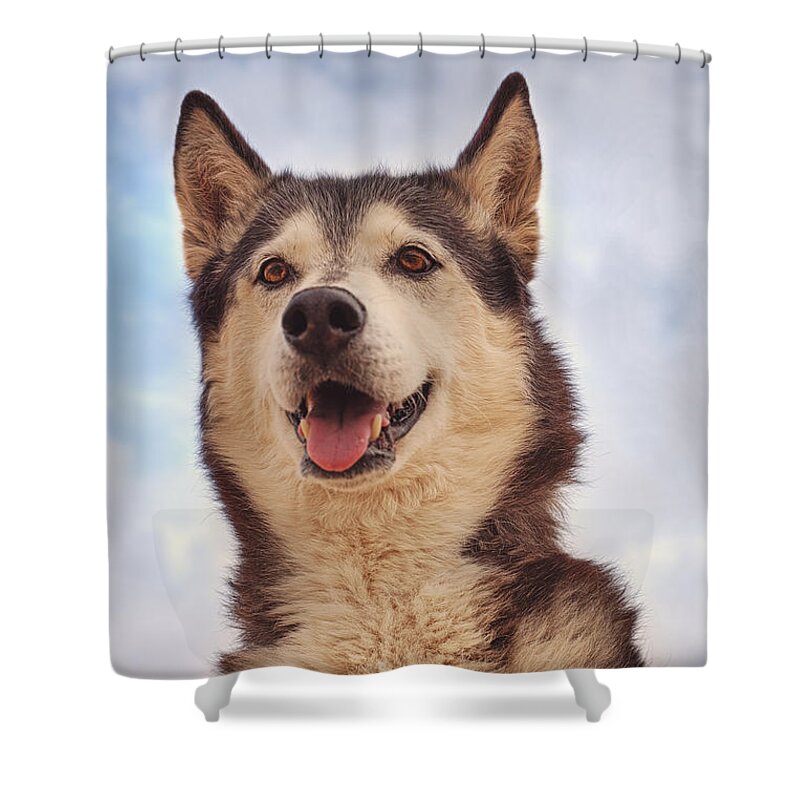Animal Shower Curtain featuring the photograph Muki #1 by Brian Cross