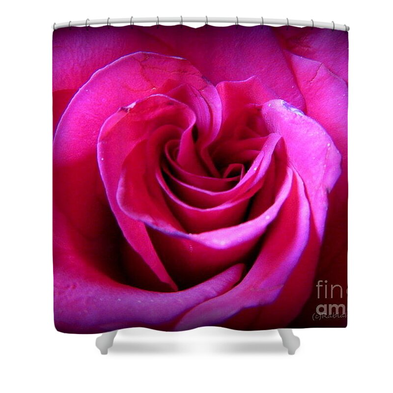 Flowers Shower Curtain featuring the photograph My Rose #1 by Rabiah Seminole