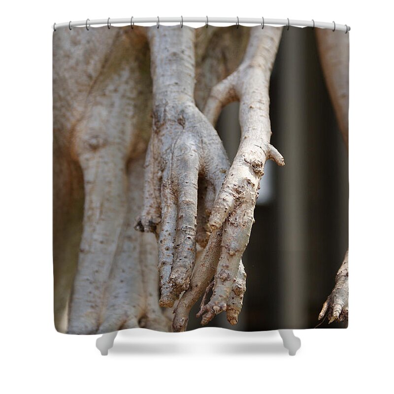 Praying Hands Shower Curtain featuring the photograph Nature #1 by Shelley Jones