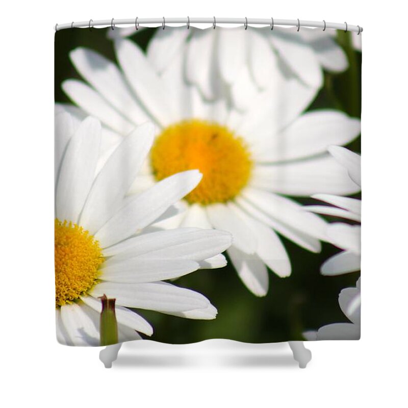 Yellow Shower Curtain featuring the photograph Nature's Beauty 53 by Deena Withycombe