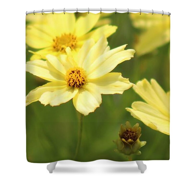 Yellow Shower Curtain featuring the photograph Nature's Beauty 67 by Deena Withycombe