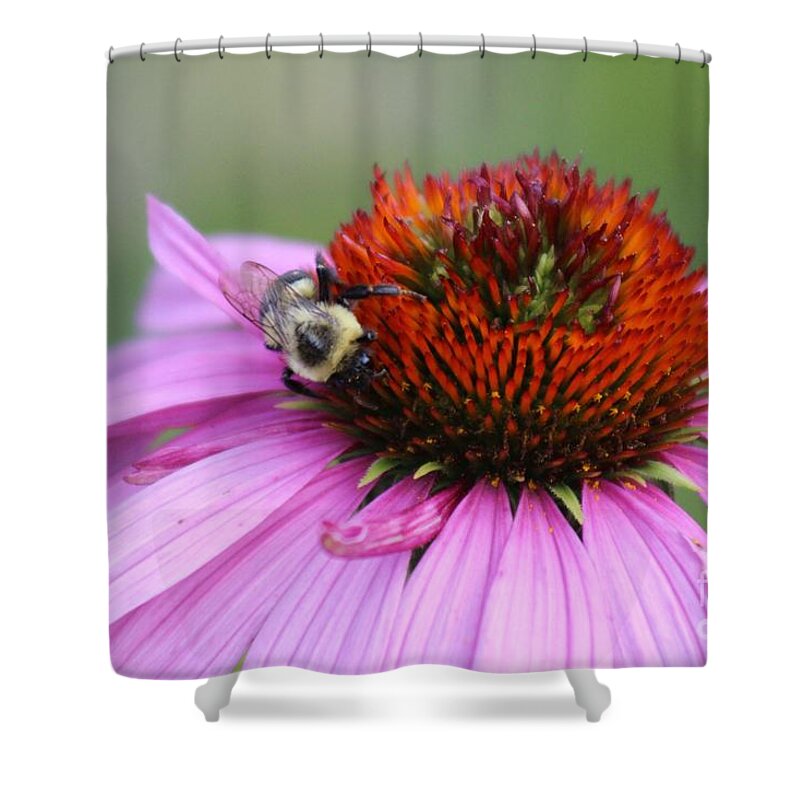 Pink Shower Curtain featuring the photograph Nature's Beauty 78 by Deena Withycombe