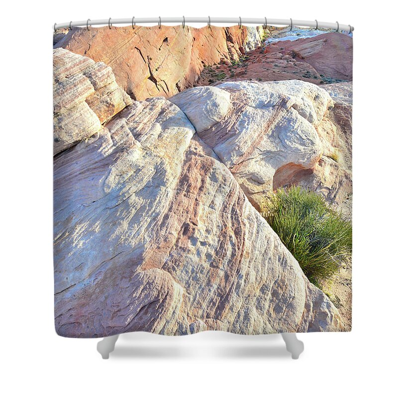 Valley Of Fire State Park Shower Curtain featuring the photograph North Valley of Fire #3 by Ray Mathis