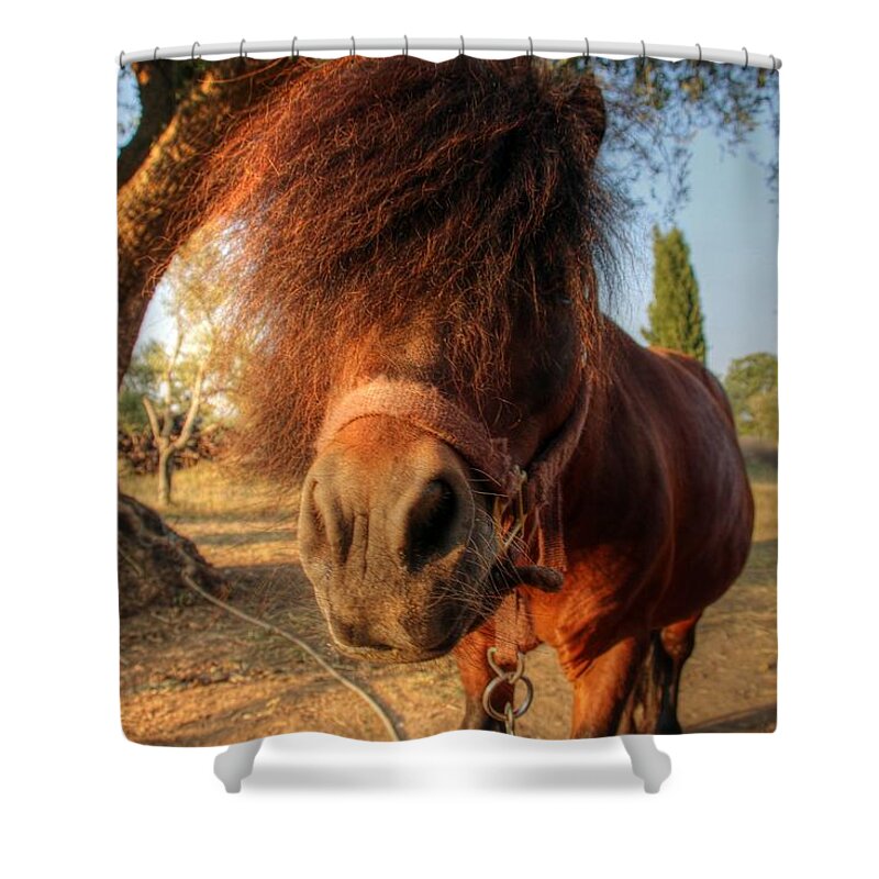 Olympia Greece Shower Curtain featuring the photograph Olympia Greece #1 by Paul James Bannerman