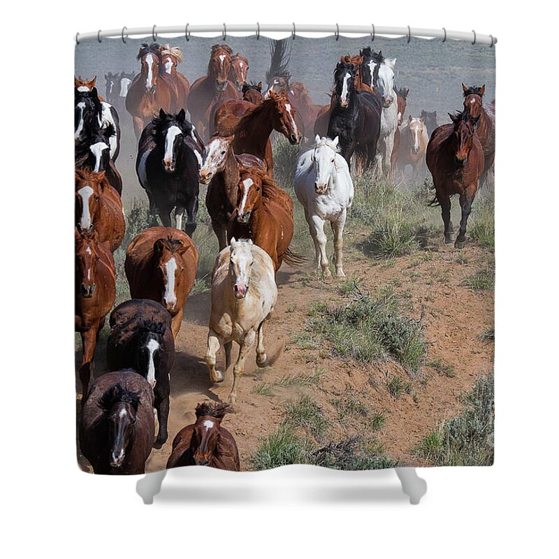 Utah Landscape Shower Curtain featuring the photograph On the Rim #2 by Jim Garrison