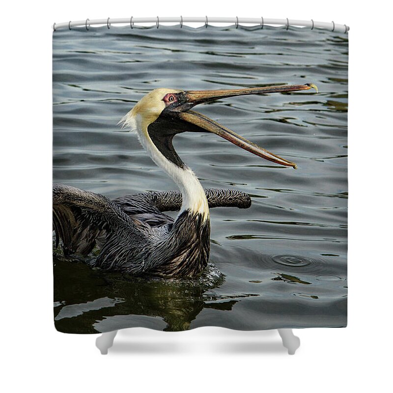 Jean Noren Shower Curtain featuring the photograph Open Wide #1 by Jean Noren