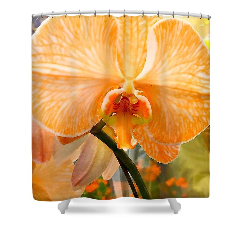 Orchid Shower Curtain featuring the photograph Orange Delight #1 by Nona Kumah