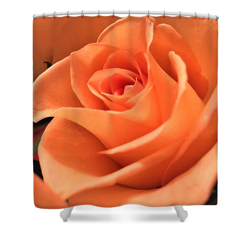 Rose Shower Curtain featuring the photograph Orange Rose #2 by Cristina Stefan